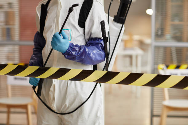 Professional Hoarding Cleanup technician working in Brookings, OR
